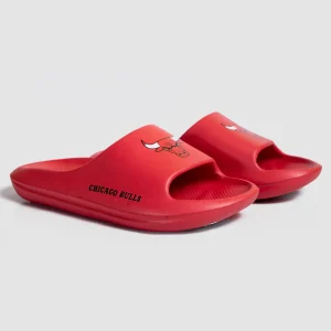 NBA GINA CHICAGO BULLS